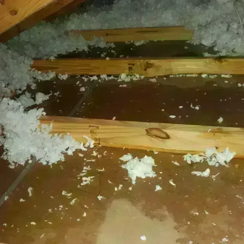 Attic Water Damage in Galveston, TX