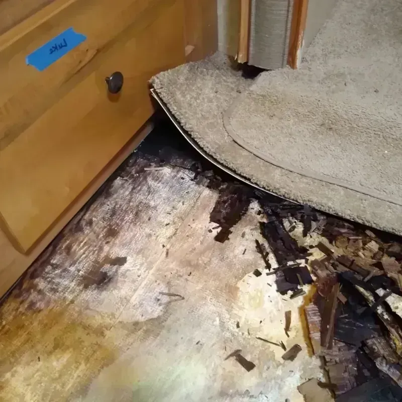 Wood Floor Water Damage in Galveston, TX